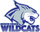 Queen Creek Wildcats