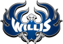 Willis Firebirds